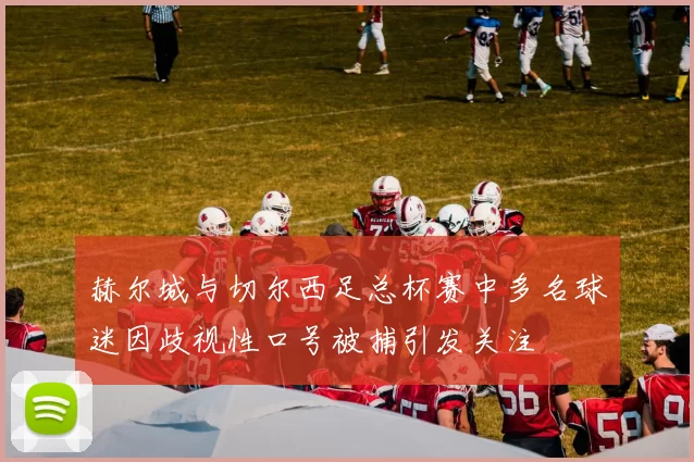 赫尔城与切尔西足总杯赛中多名球迷因歧视性口号被捕引发关注